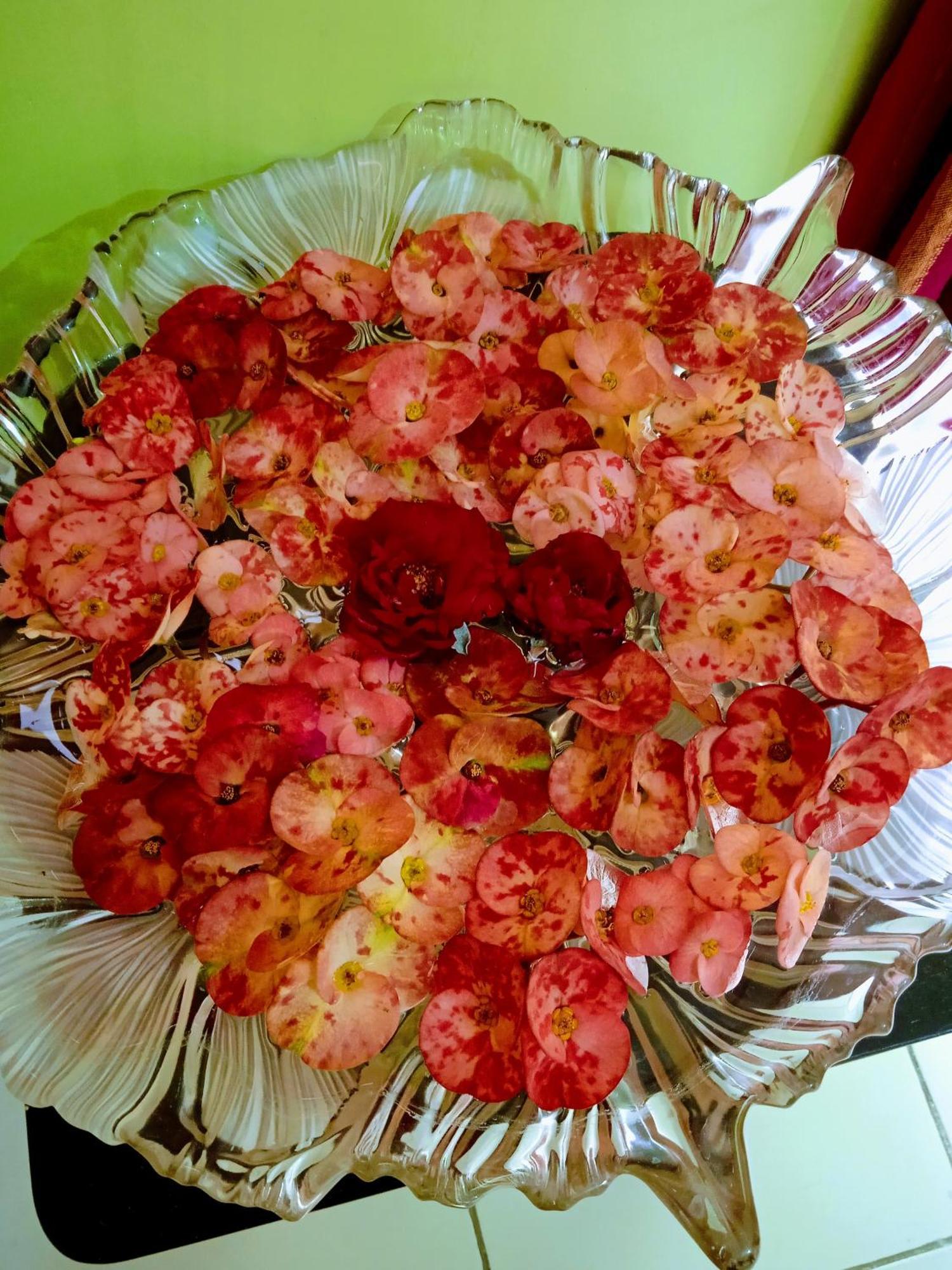 Bhoboghure Homestay Santiniketan Bolpur Exterior foto